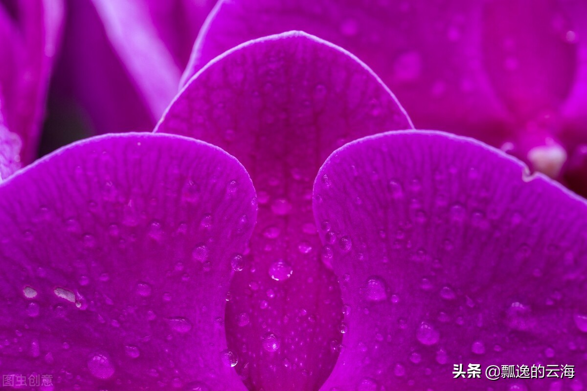 祝福祖国繁荣昌盛(祝福祖国串词)