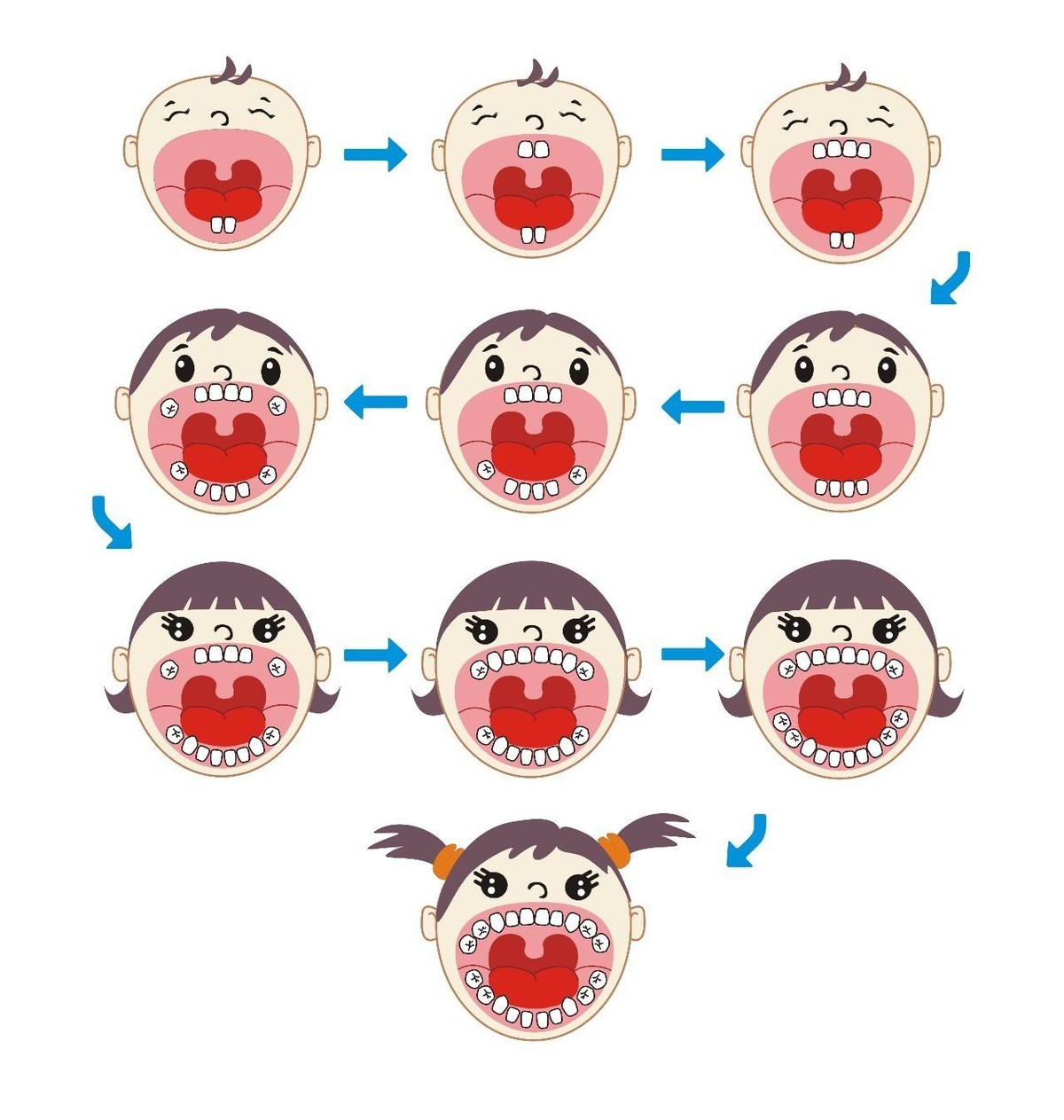 这份儿童换牙时间表，爸妈请查收！对着看，换牙情况一目了然