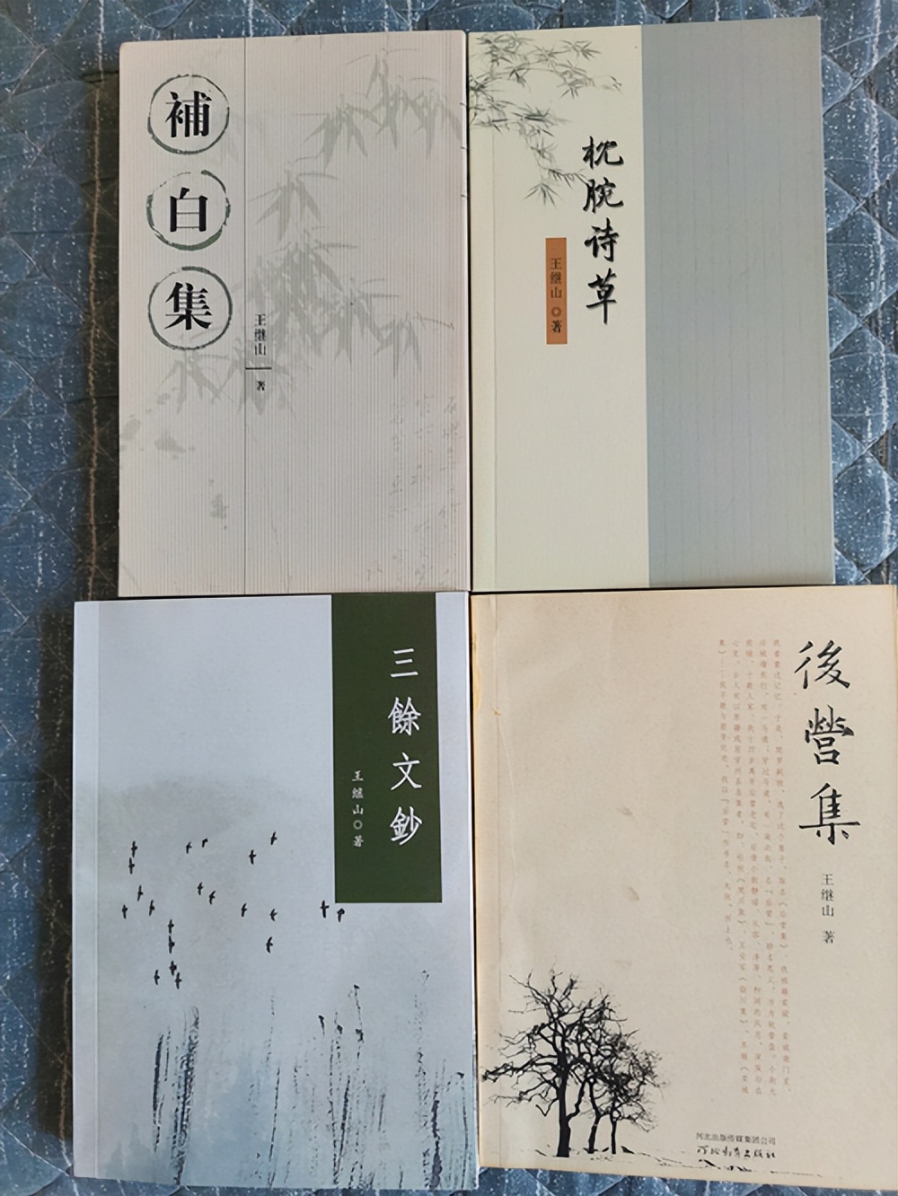 读王继山先生的《后营集》