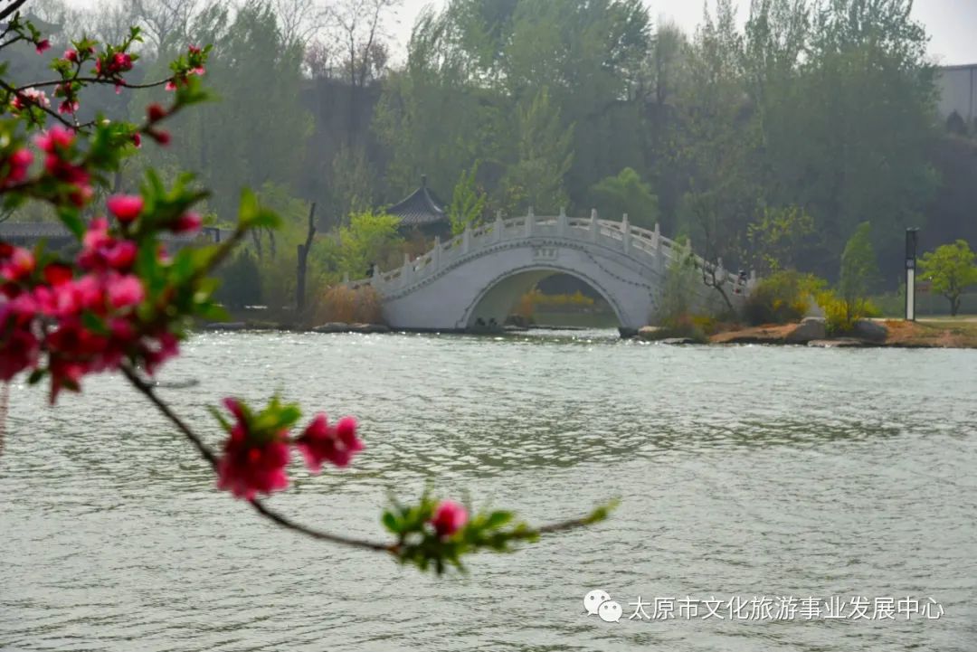 线上展览|“山河春意 锦绣太原——花的世界”主题摄影线上图片展（十二）