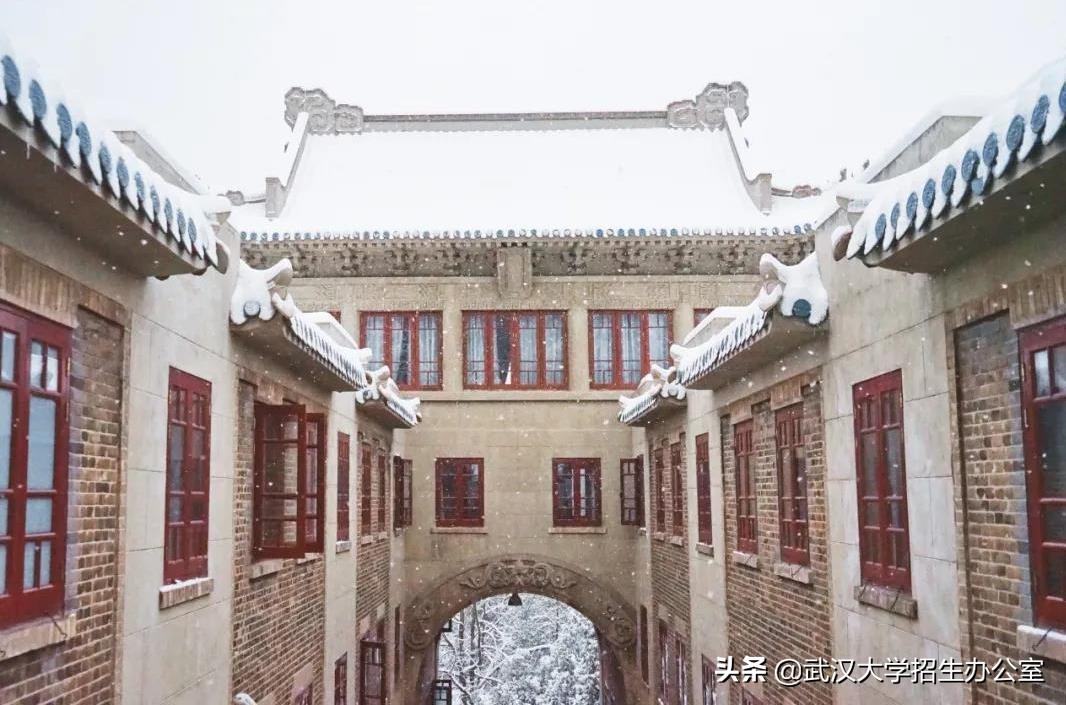 全国第四！教育部发布最新公告，武汉大学新增2个“重量级”基地！