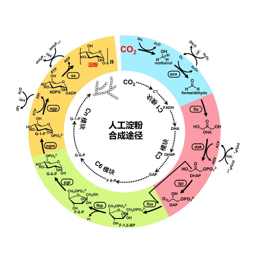 2021年度中国科学十大进展揭晓：天问一号、中国空间站等入选