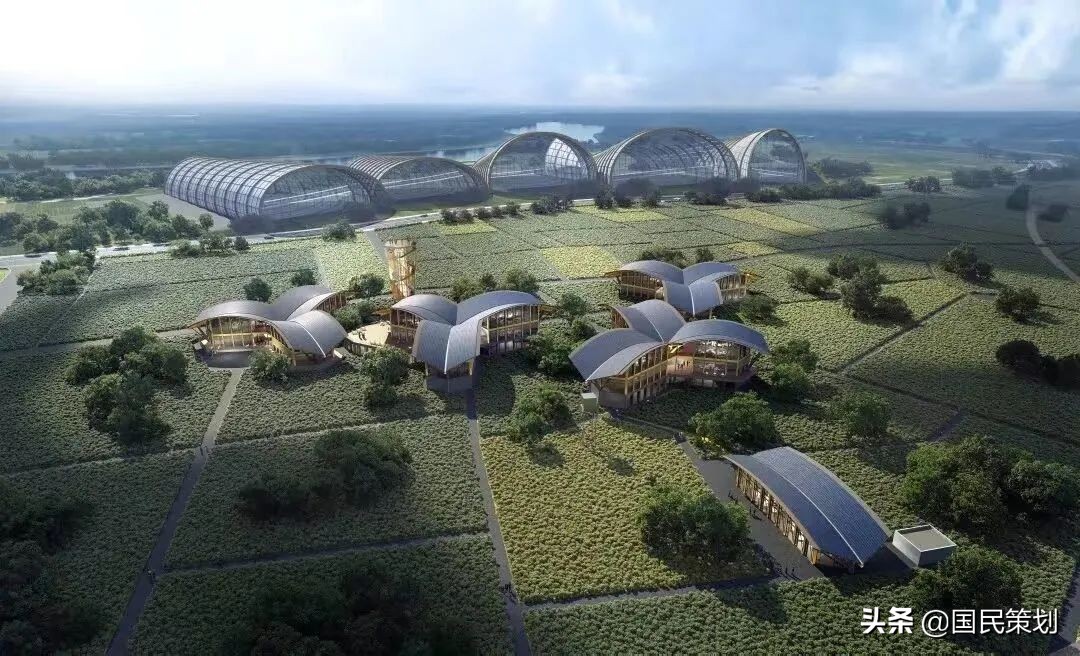 乡村振兴，如何创建1000个示范乡镇？狠抓“四个关键”