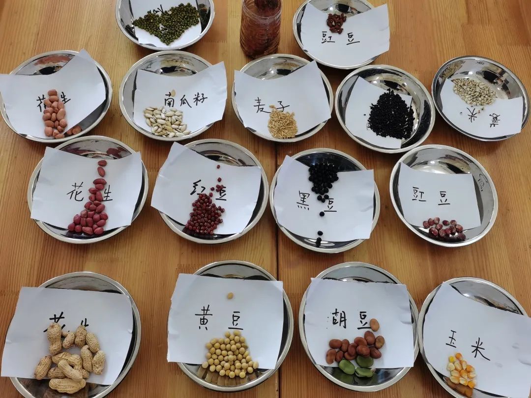 零的故事打法图片 _飞翔号