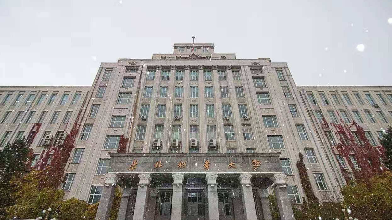 国内几所占地面积广阔的大学，上课要乘坐公交，骑自行车容易迟到