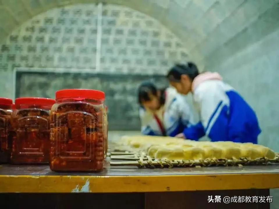 成都又获教育部点赞！这次是为啥？