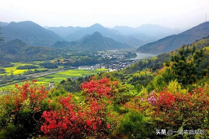 乡村振兴需要哪些“引擎”？