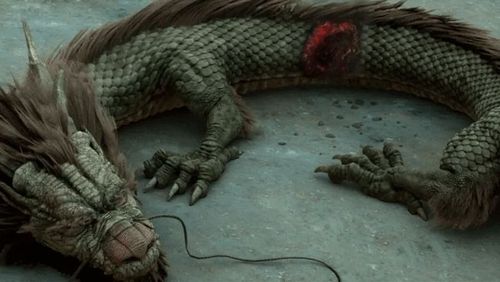 17年内蒙古坠龙事件是如何回事呢？？虚假信息不可信