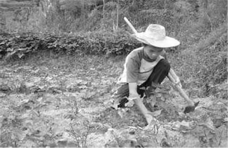 袁宝璟：我国首位被注射死刑的亿万富豪，死前向国家捐495亿