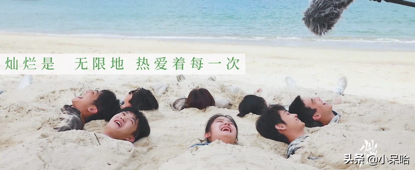 郭京飞、王源、任敏主演，配角阵容强大，校园剧又要火了？