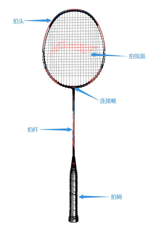 羽毛球拍分解图图片