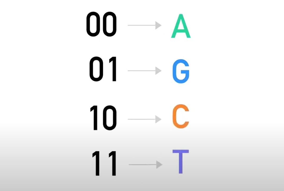 刻入DNA(以后硬盘中的小姐姐真的可以刻进DNA了)