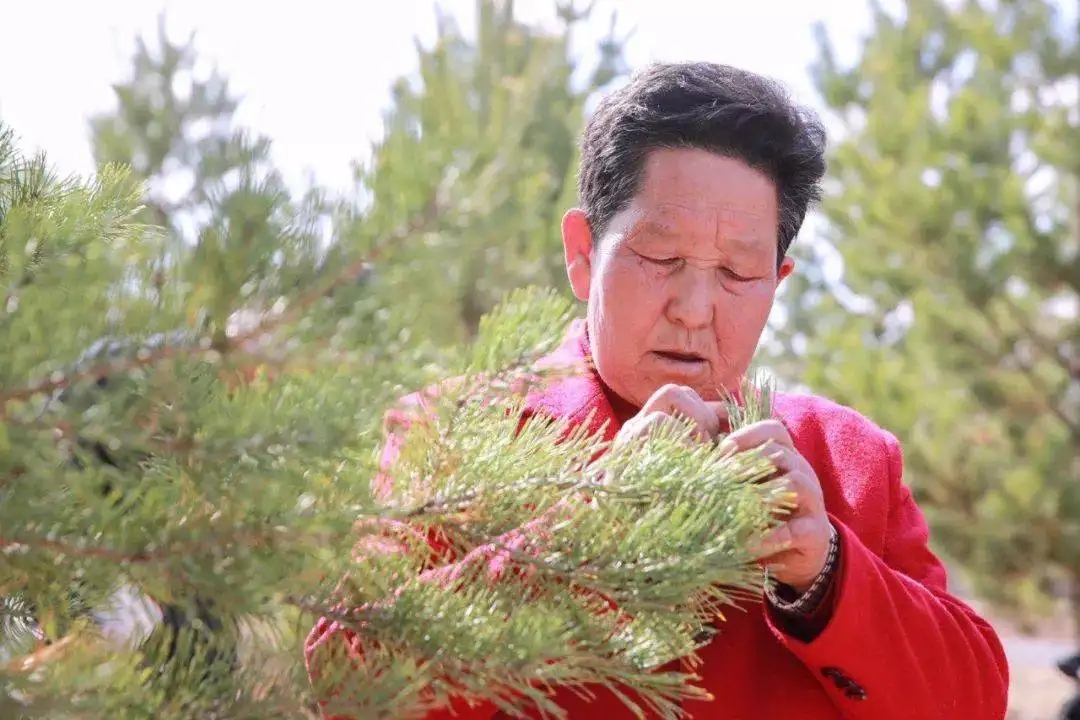 消灭千年沙漠，面积相当于八个韩国，中国人种树有何妙招？