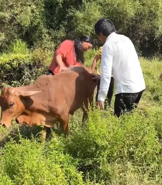 牛爱芳小春花：没有路虎，没有别墅，粉丝和电视台欠我们一个道歉