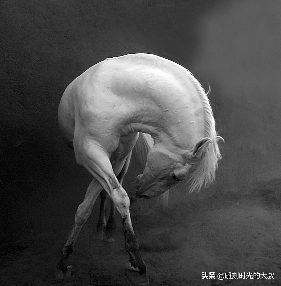 20张 2022 年度索尼世界摄影奖获奖者照片欣赏