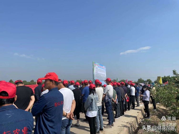 咸阳市礼泉县召开2022年夏粮生产暨小麦新品种观摩会