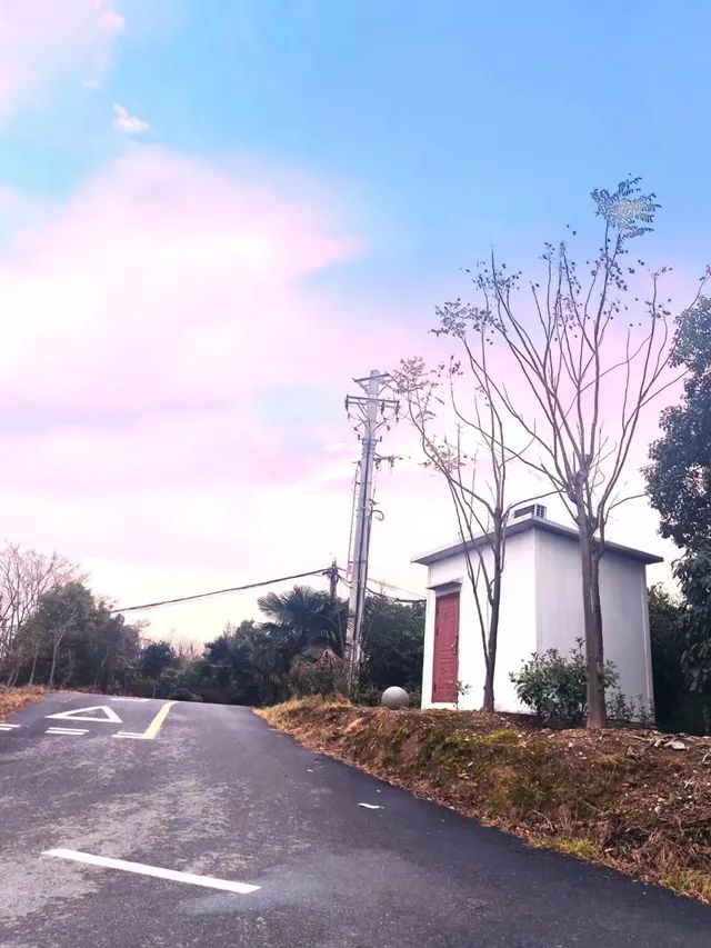 “光棍”爹爹（下）