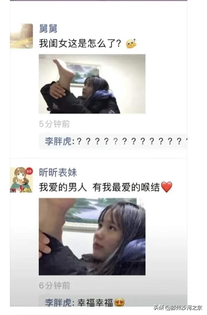 神回复：汪汪队集体病假，有事不要呼叫莱德