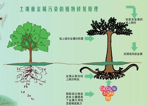 欧倍尔土壤修复虚拟仿真软件