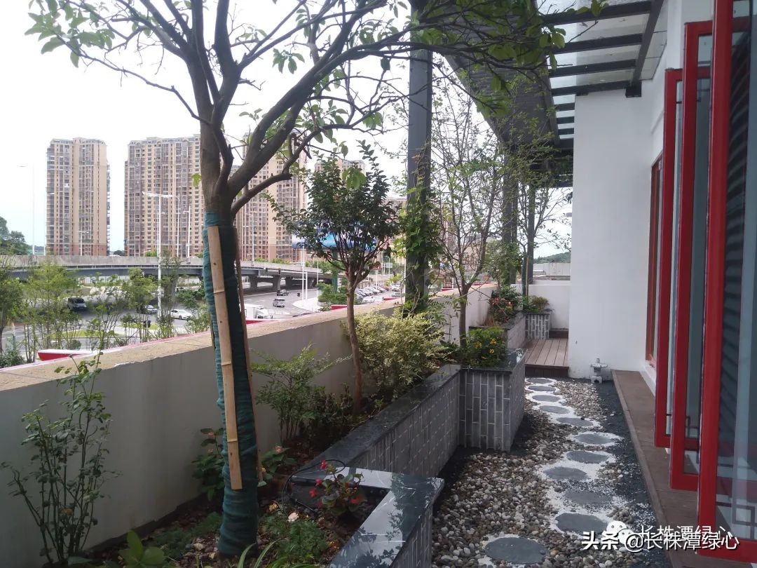 原来长沙暮云片区花之林总部大厦是这样的