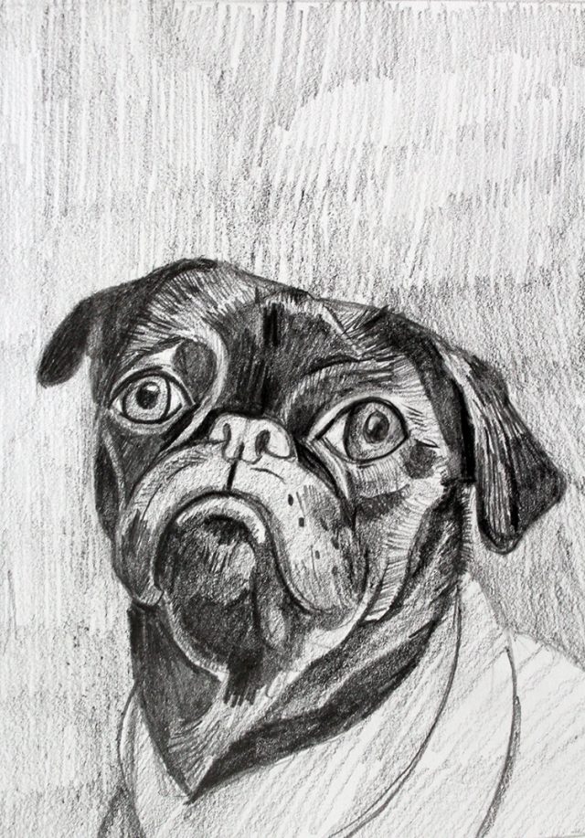 动物漫画图片铅笔画(用一只简单的铅笔画狗) - 赤虎壹号