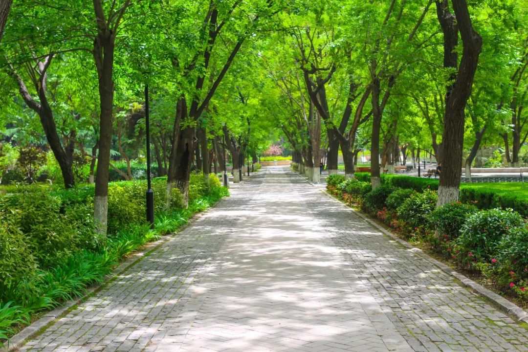 10首最美夏至诗词，凉风送爽，池清荷香，温柔了整个夏天