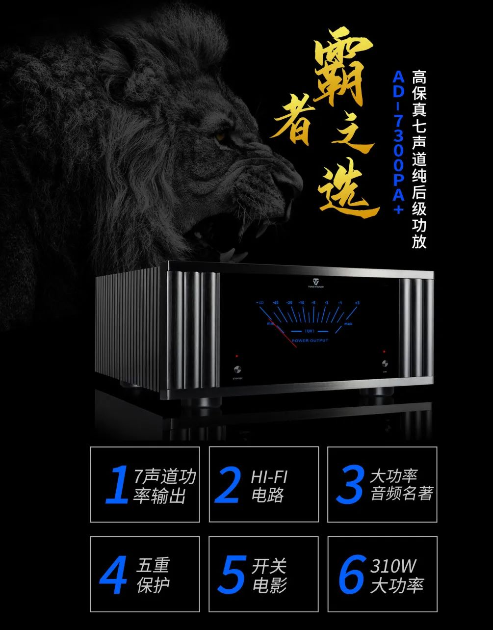 天逸AD-7300前后级套装：私影典范，高端影院定制首选