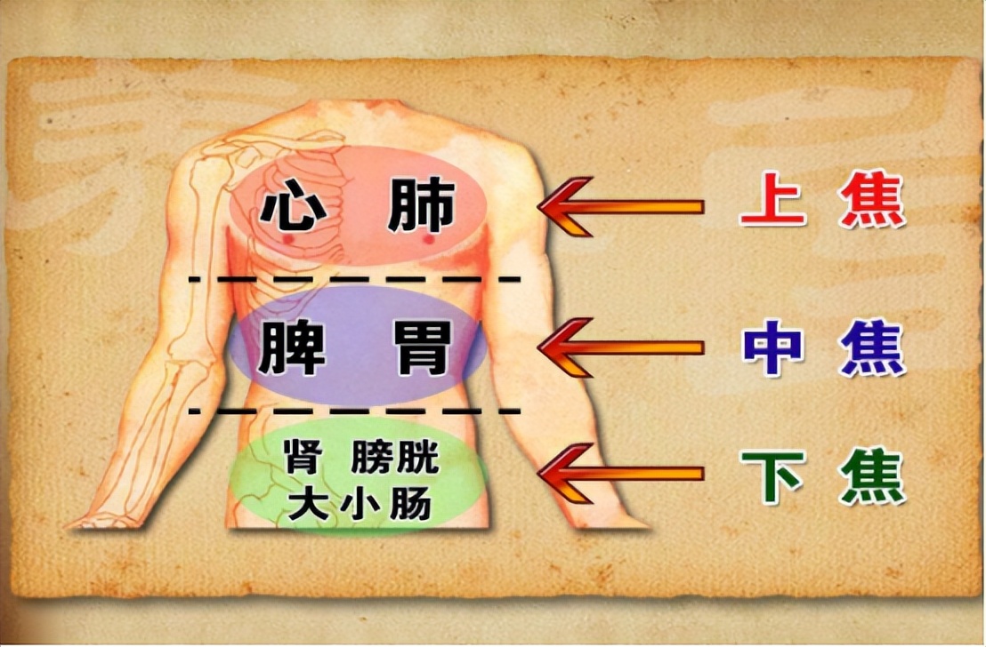 明明體寒怕冷，卻容易上火？ 上熱下寒的體質，如何引火歸元？