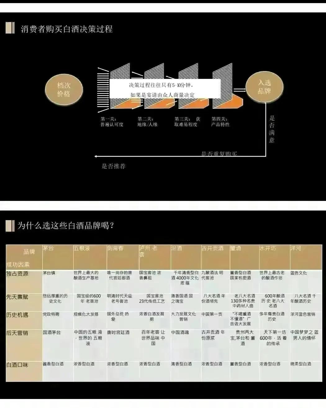 价值1000万的舍得酒业品牌战略规划策划方案（全案154页）