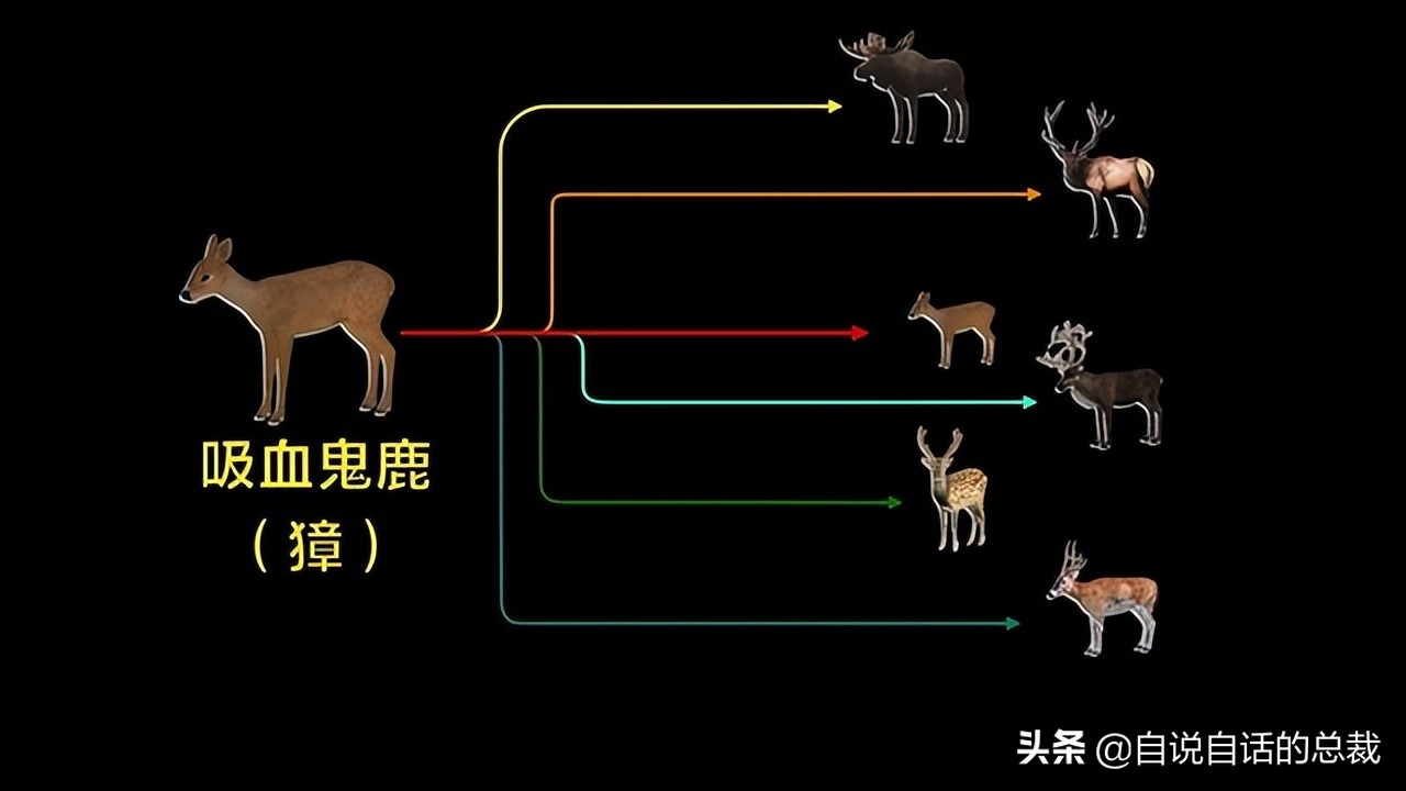 超能力真的存在吗(超级血液，器官再生、百毒不侵，这是人们认为它是仙兽真正的原因)