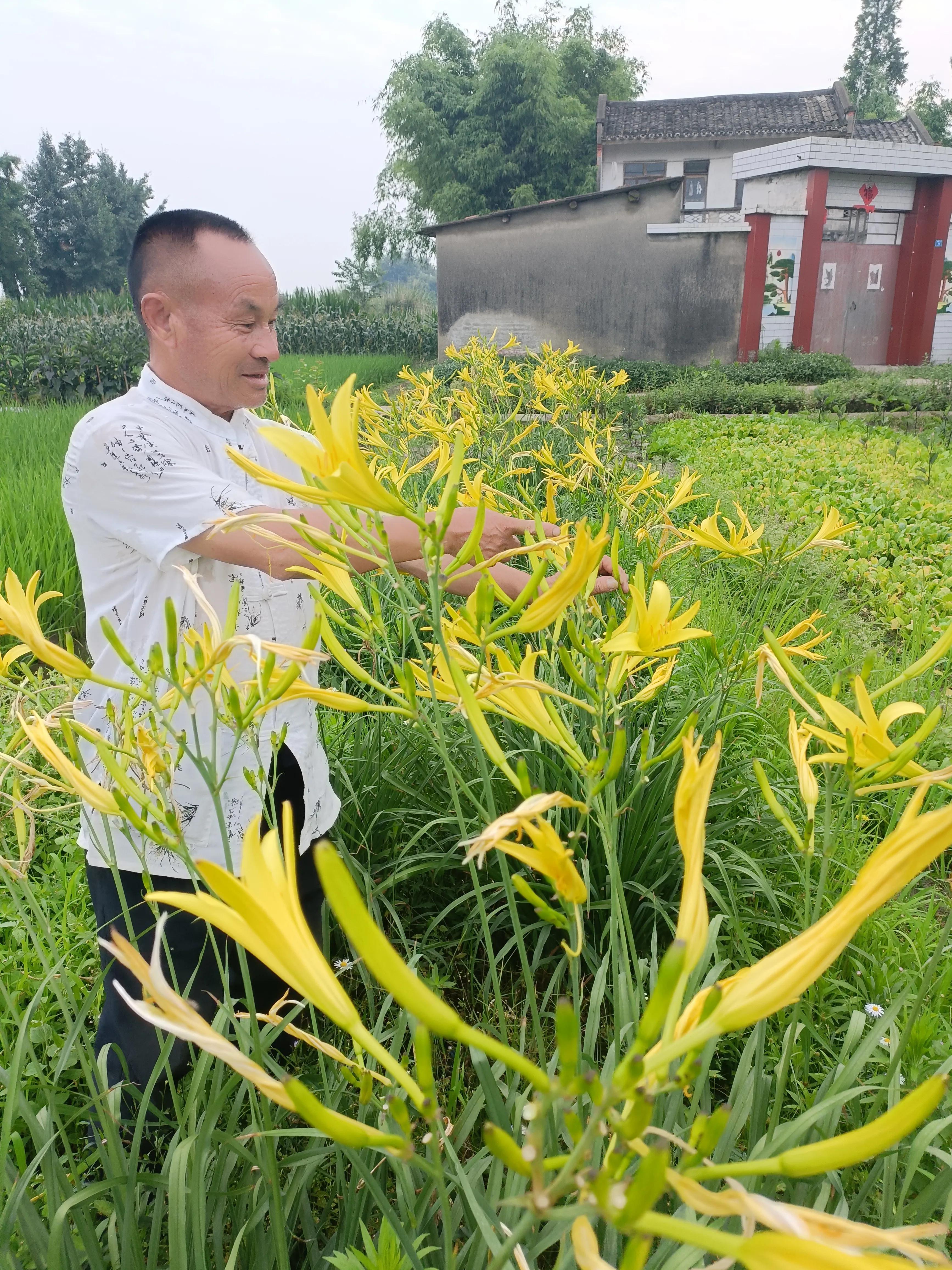 茅庵草舍迎远客