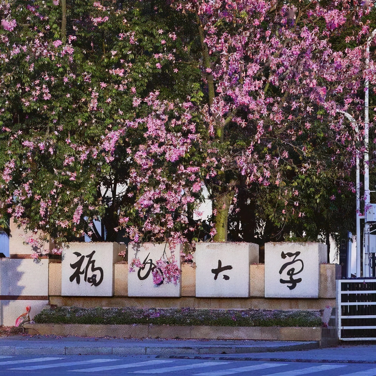 北京交通大学图书馆官网(北京交通大学图书馆官网登录)