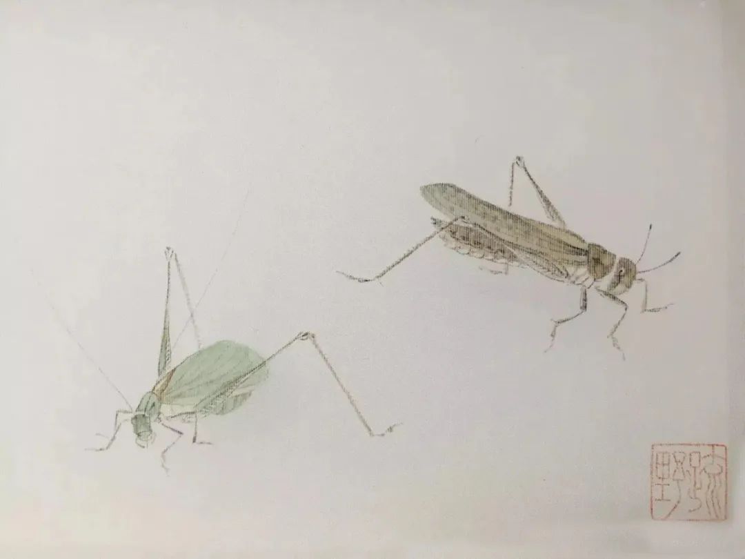 款款翩翩，不疑春深画中