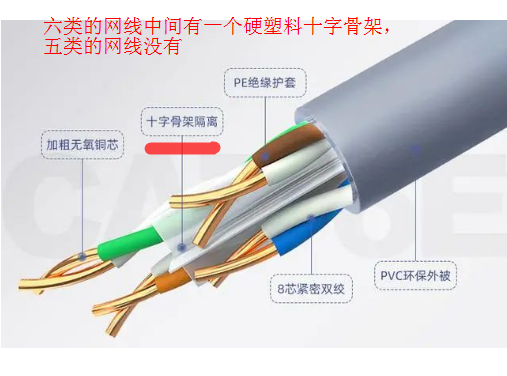 只需看一点，就可以区分五类和六类水晶头