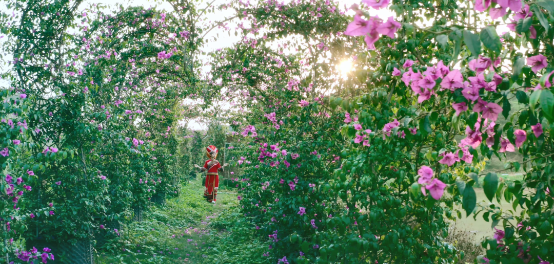 徐霞客在此住了54天，这里是四季花期永不过时的南宁“后花园”……