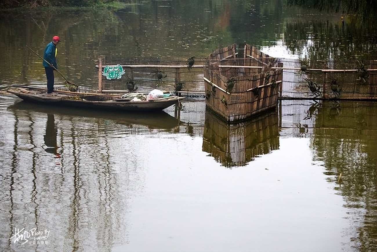 说字解文(13):"网"字,"鱼箔","簖"字的由来_钓鱼捕鱼_西南渔业网 水花