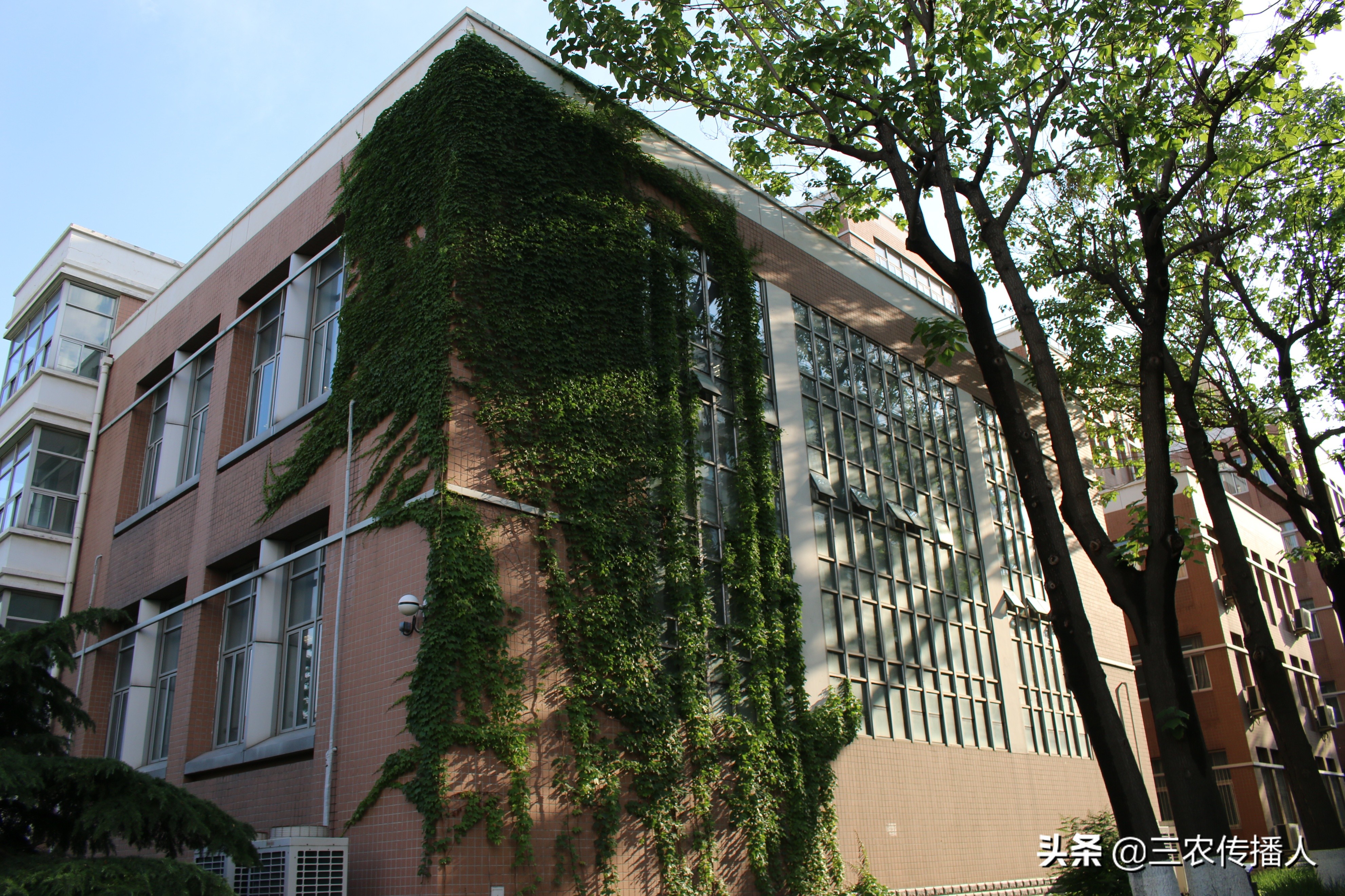 高考将至 | 用照片带你领略中国农业大学~ 是你向往的大学吗？