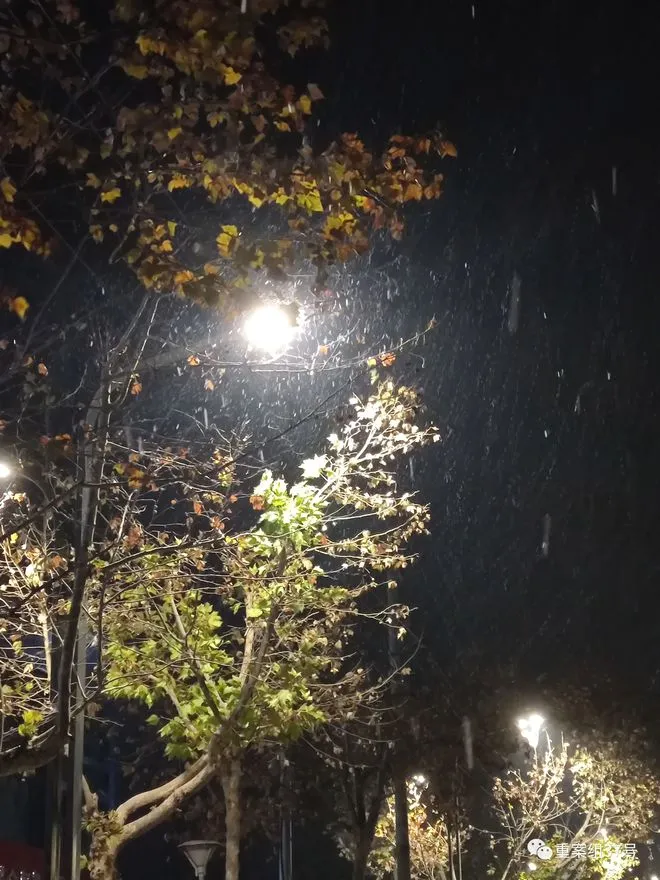 凌晨5点,华爱云看窗外飘雪,忙穿上防护服出了门.