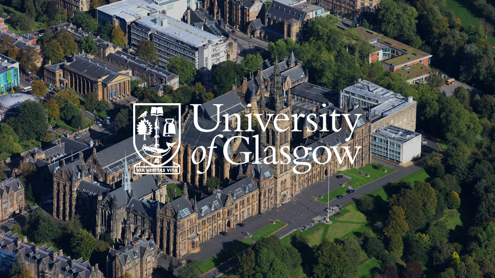 大专生变形记：披荆斩棘，跻身世界百强名校