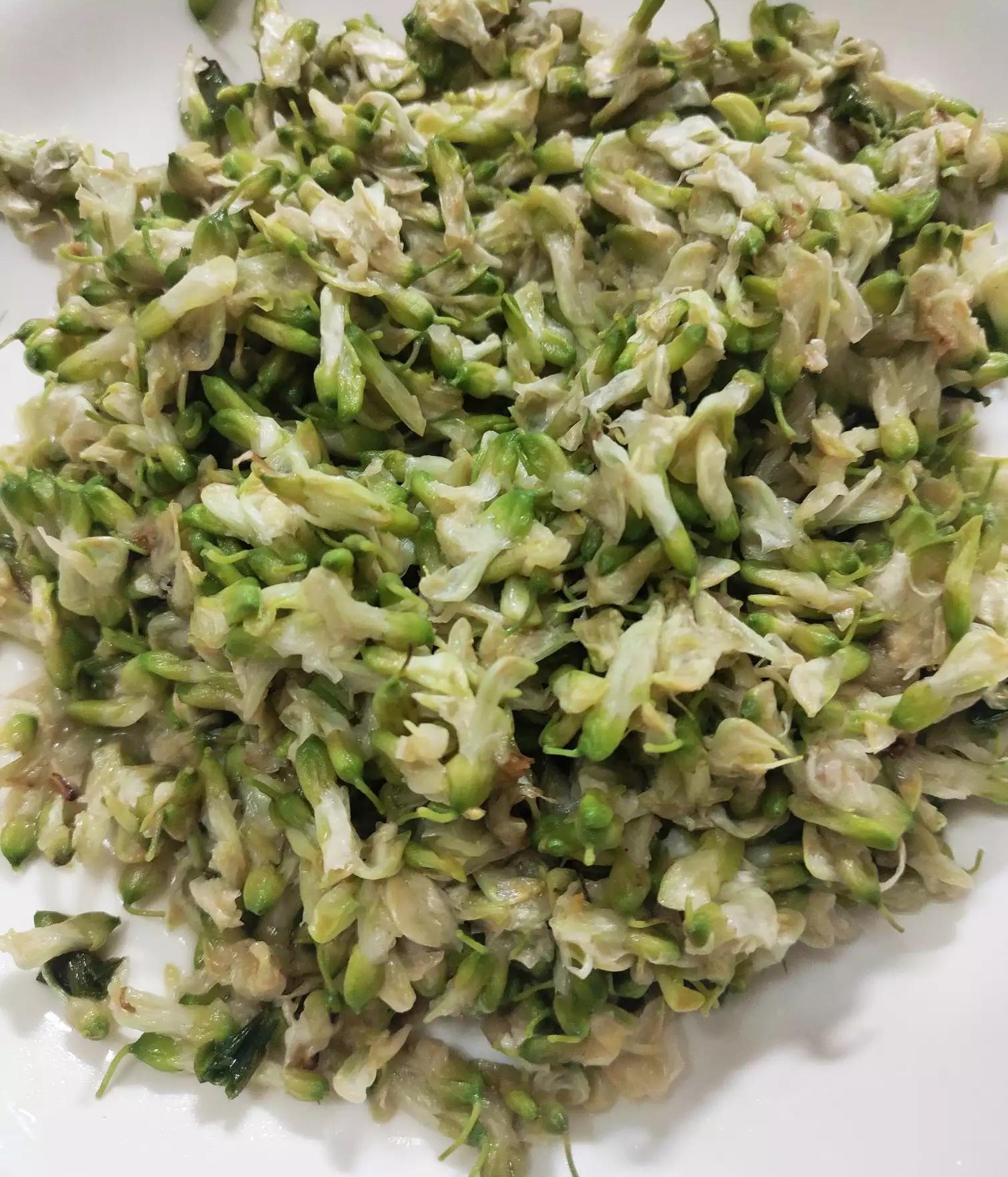 高三学生爱吃什么春天美味？提出什么新吃法？好做吗？吃爽了吗？