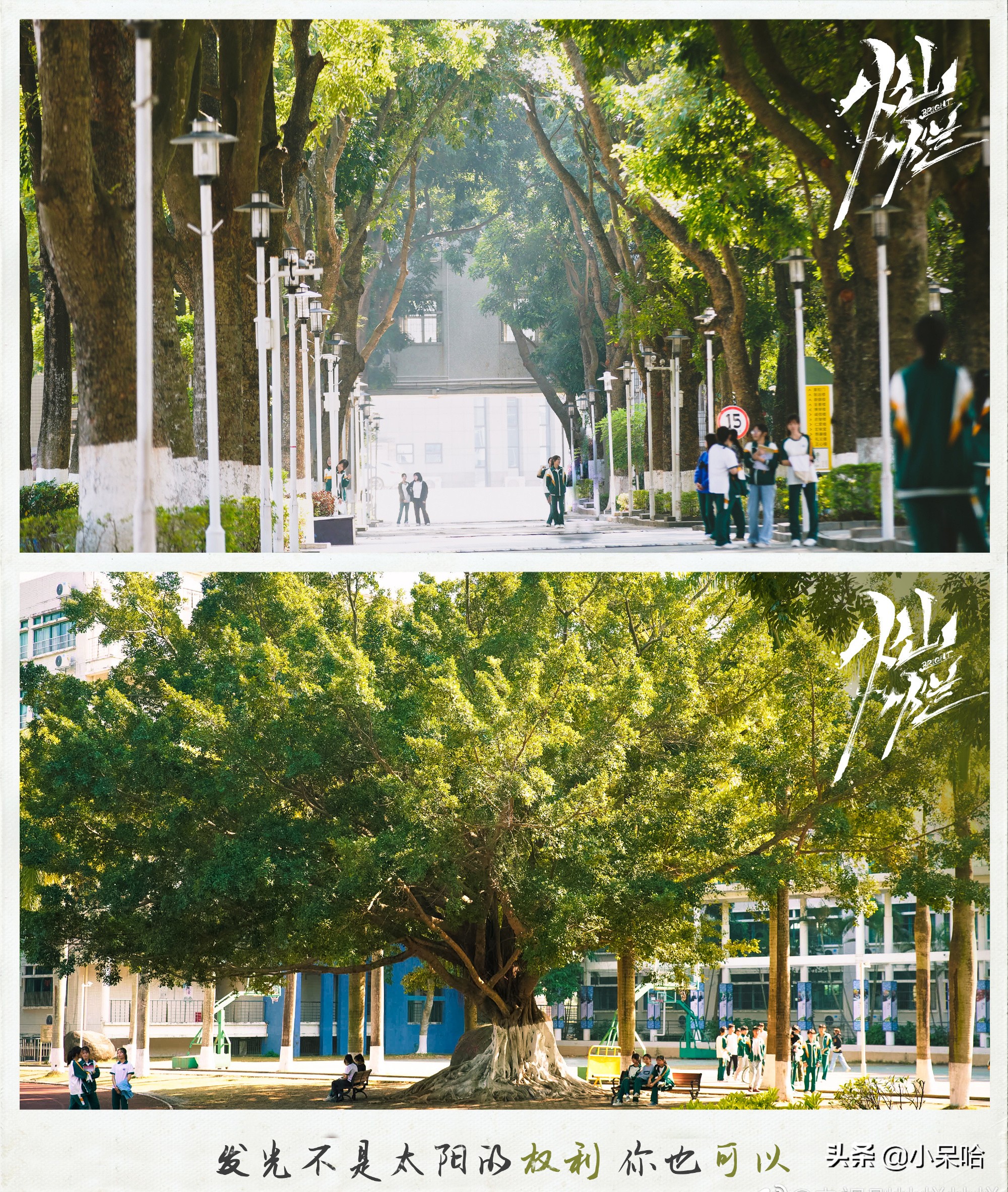 郭京飞、王源、任敏主演，配角阵容强大，校园剧又要火了？