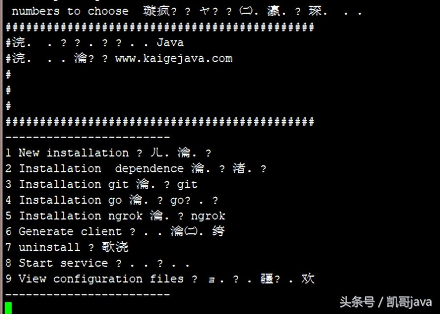内网穿透利器-ngrok的图文安装
