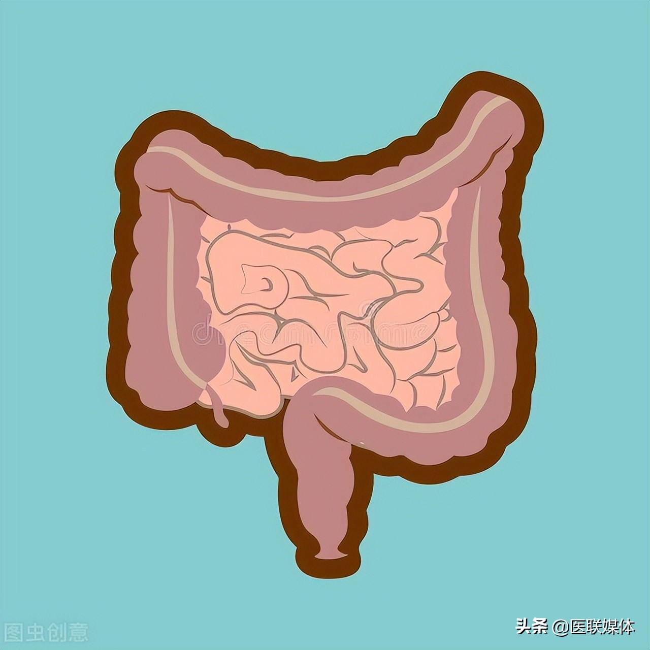 年紀越大，越要多吃肉？ 建議這2種肉多吃些，對健康有好處