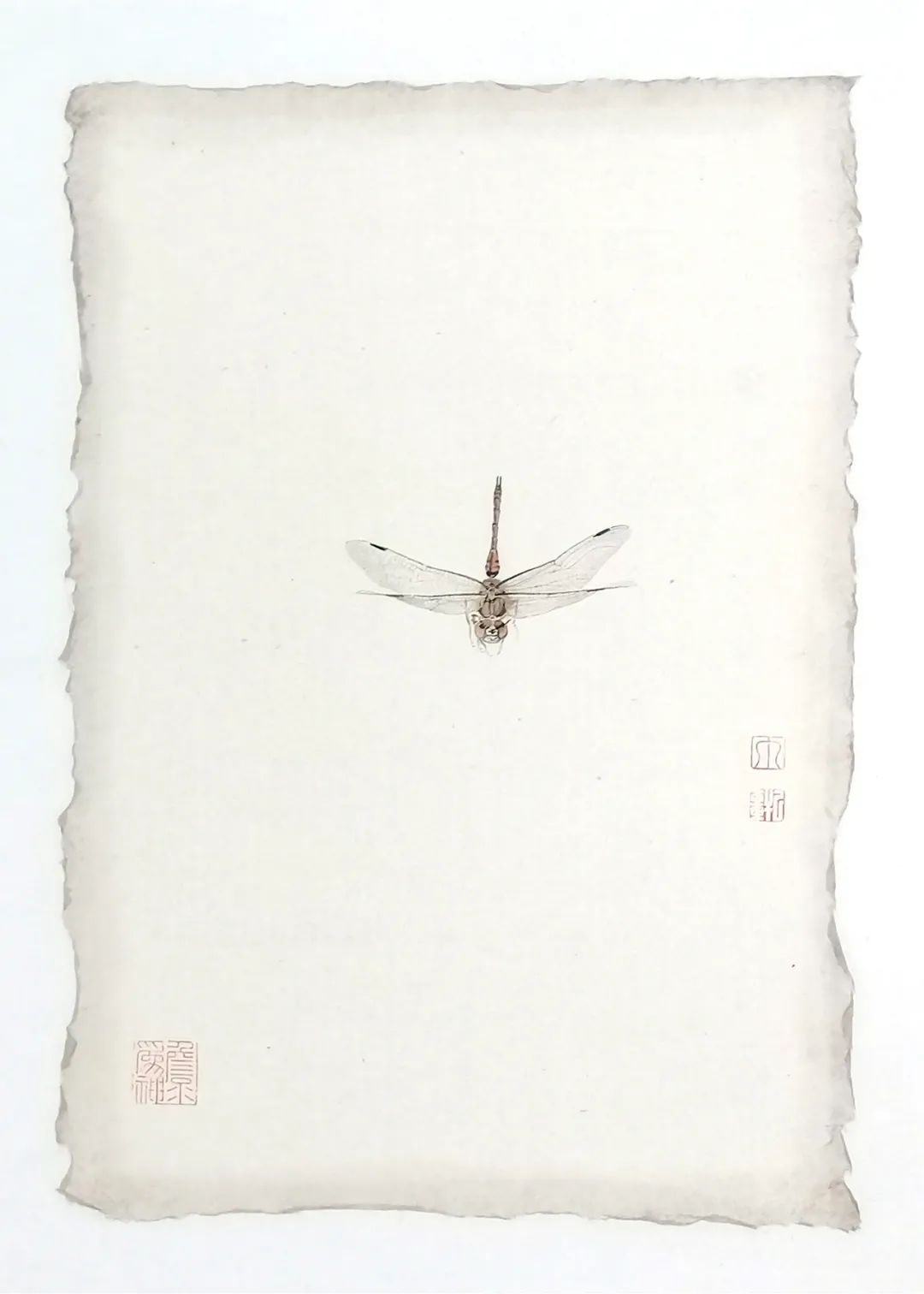 款款翩翩，不疑春深画中