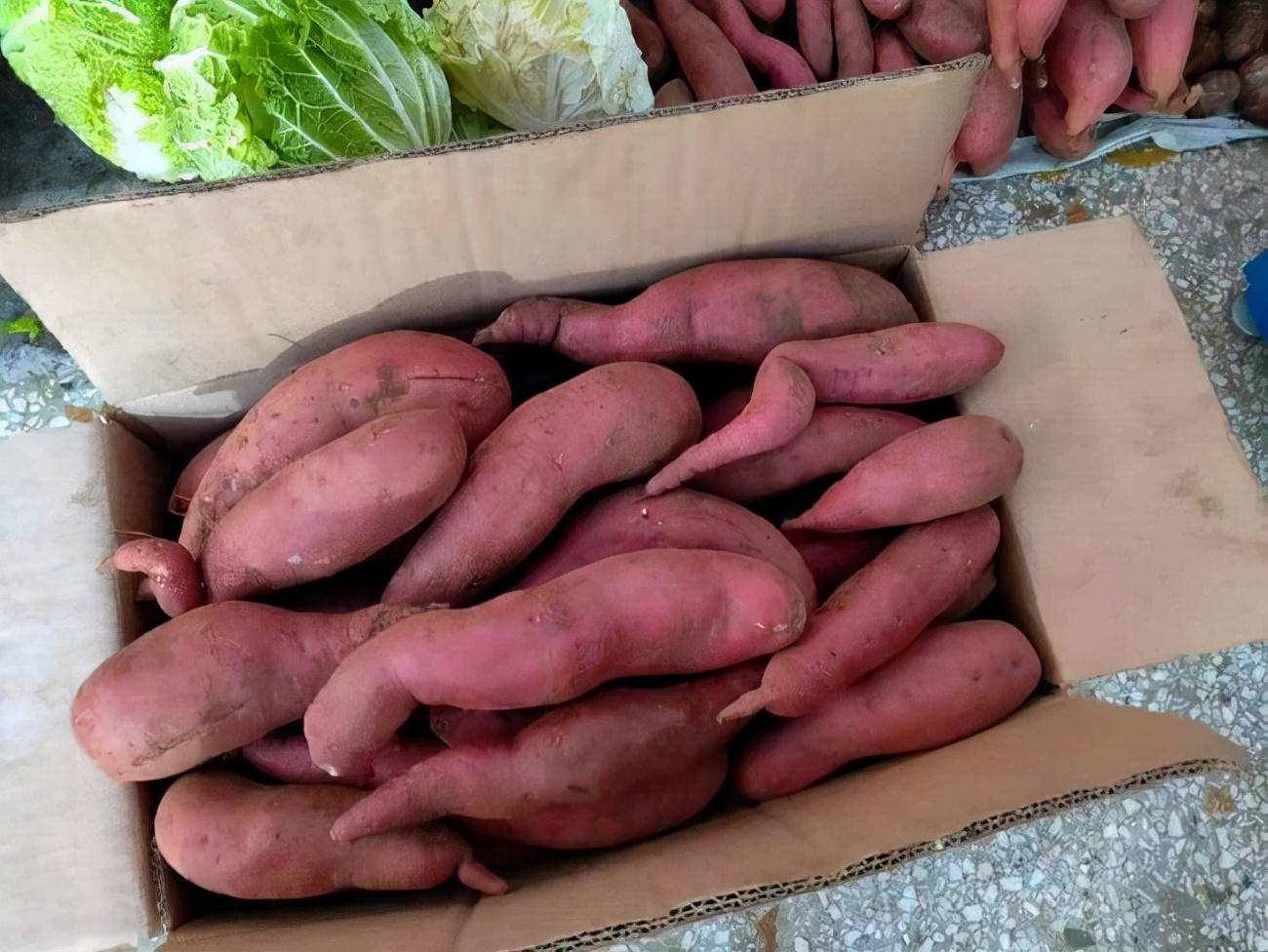 地瓜含糖量高，生、烤、蒸、煮地瓜，糖尿病患者应该选择哪种？