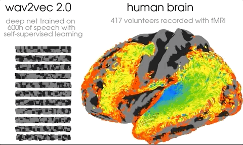 AI越进化越跟人类大脑像！Meta找到了机器的“前额叶皮层”