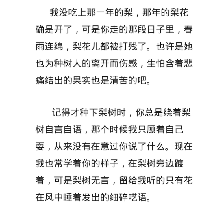 语言类满分作文《梨花语》，我豆蔻，你耄耋，让人禁不住潸然泪下