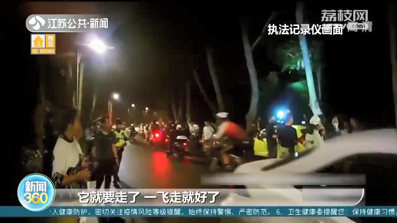 围观拍摄猫头鹰堵了一段路 南京交警及时劝告疏导