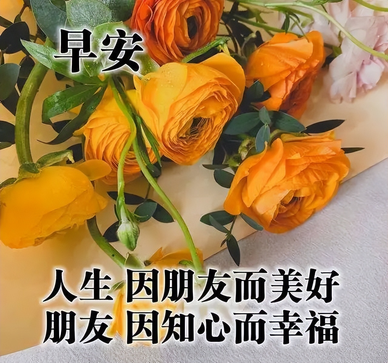 你若拥有一颗宽容善良的心，你就会拥有快乐，早安