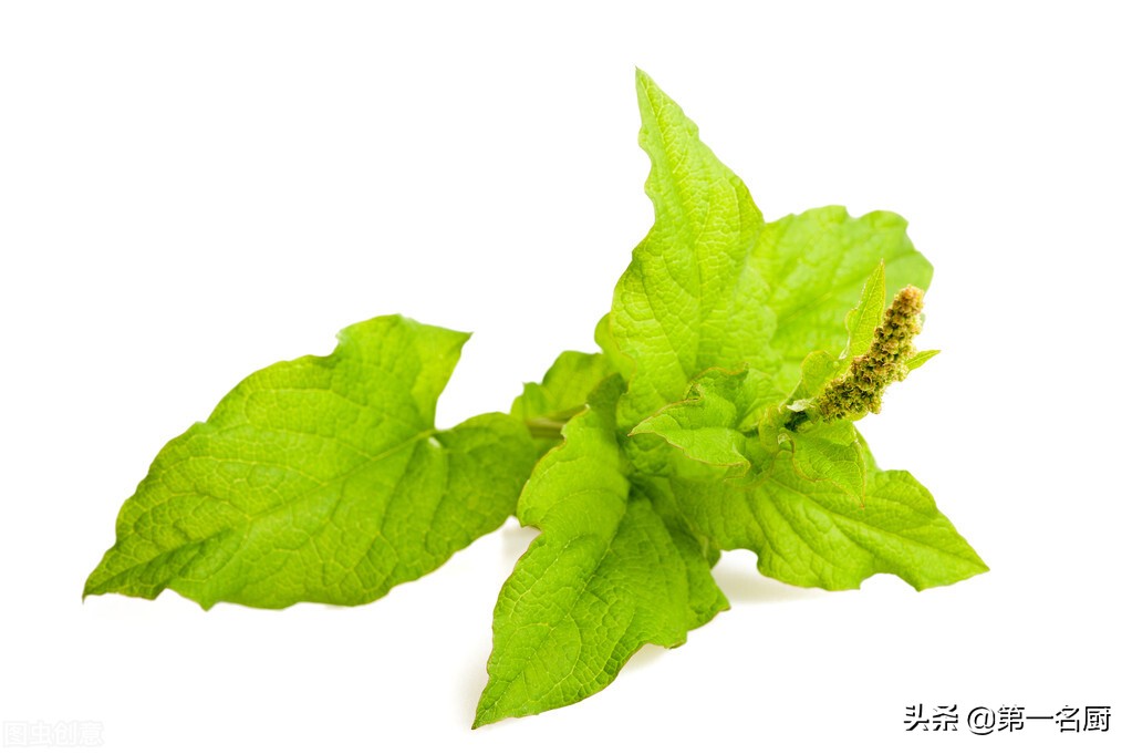 春天摘野菜,送你34种野菜大图鉴,带你认识不同的野菜和吃法